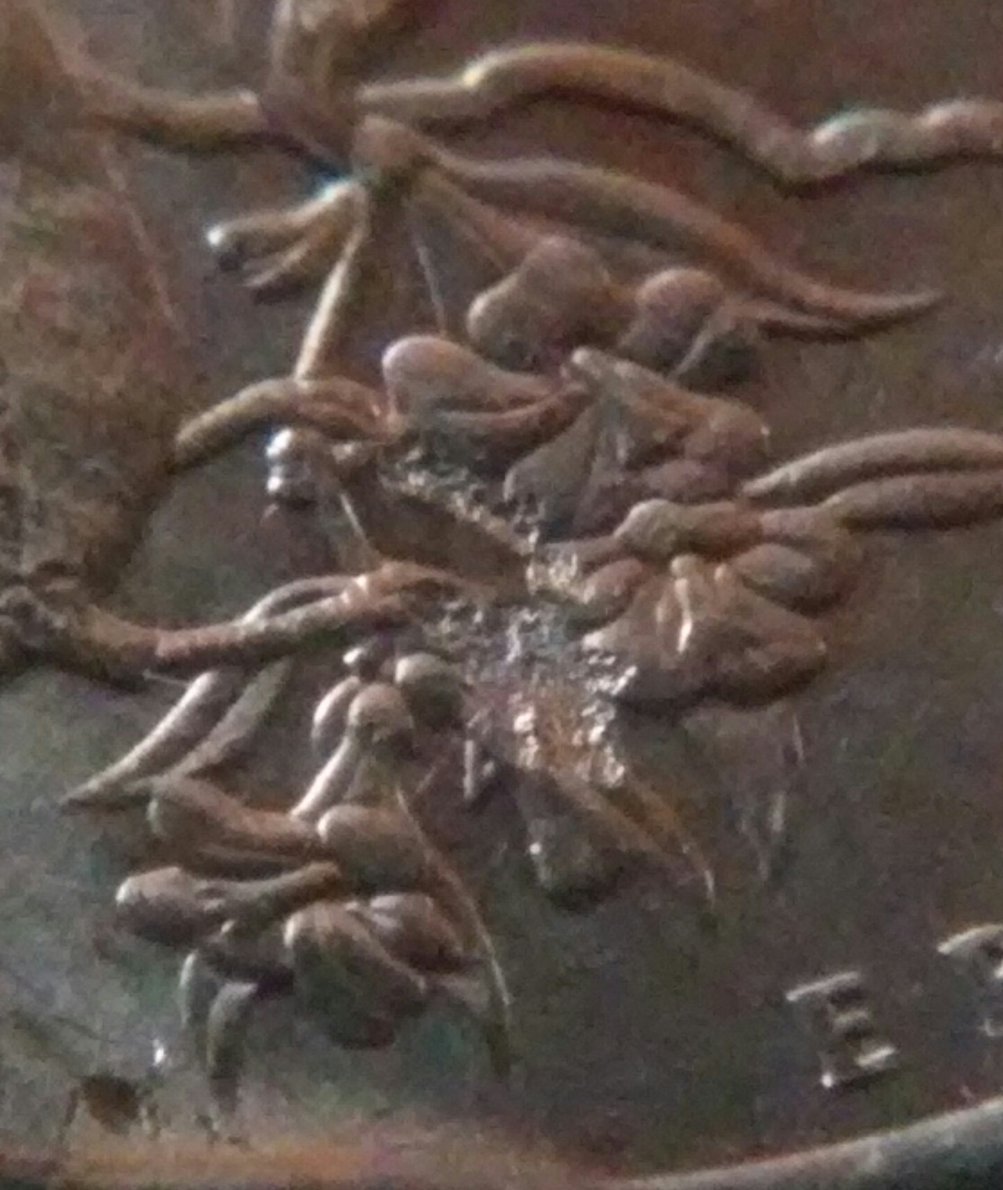 2000-P-South-Carolina